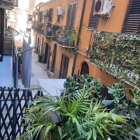 Apartman Centro Casa *